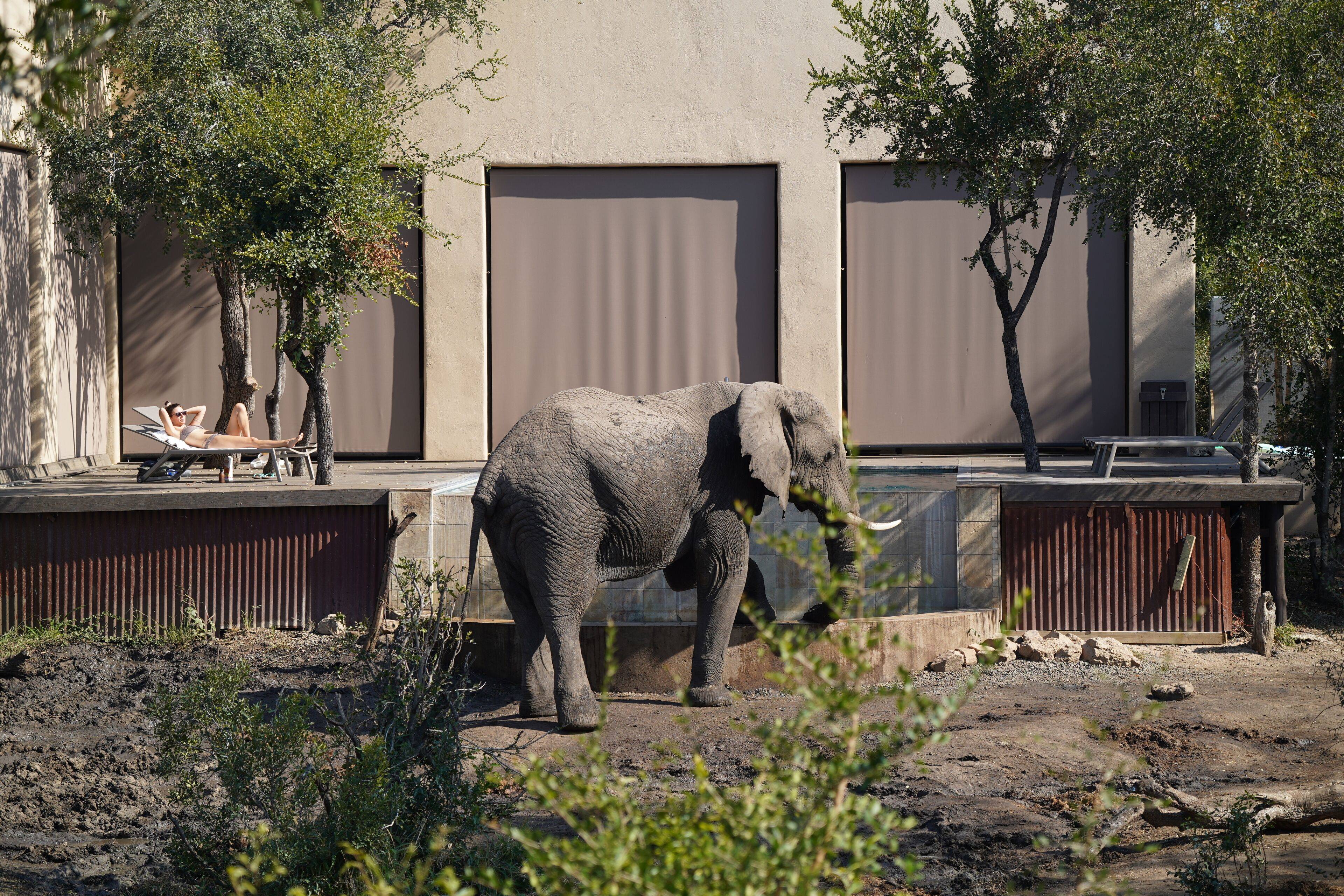 Honeyguide Mantobeni Camp