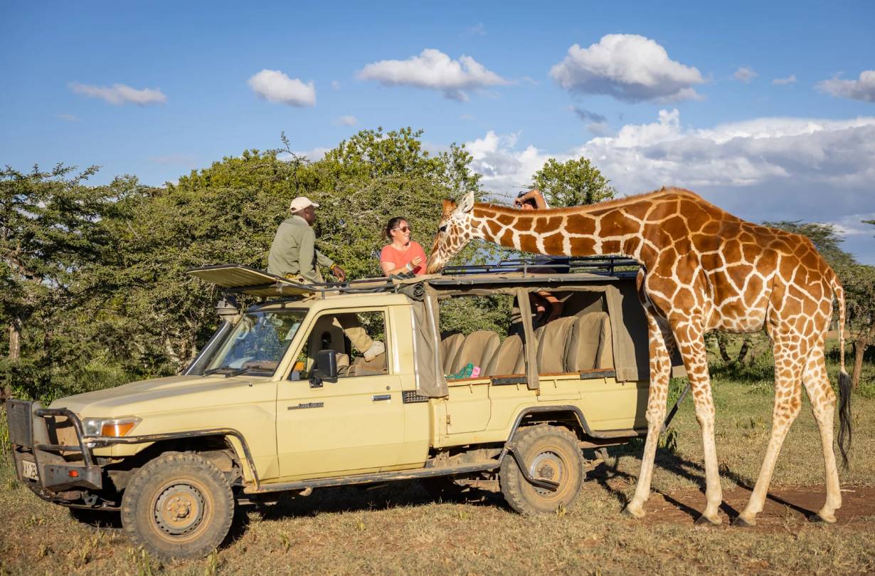 Ekorian's Mugie Camp