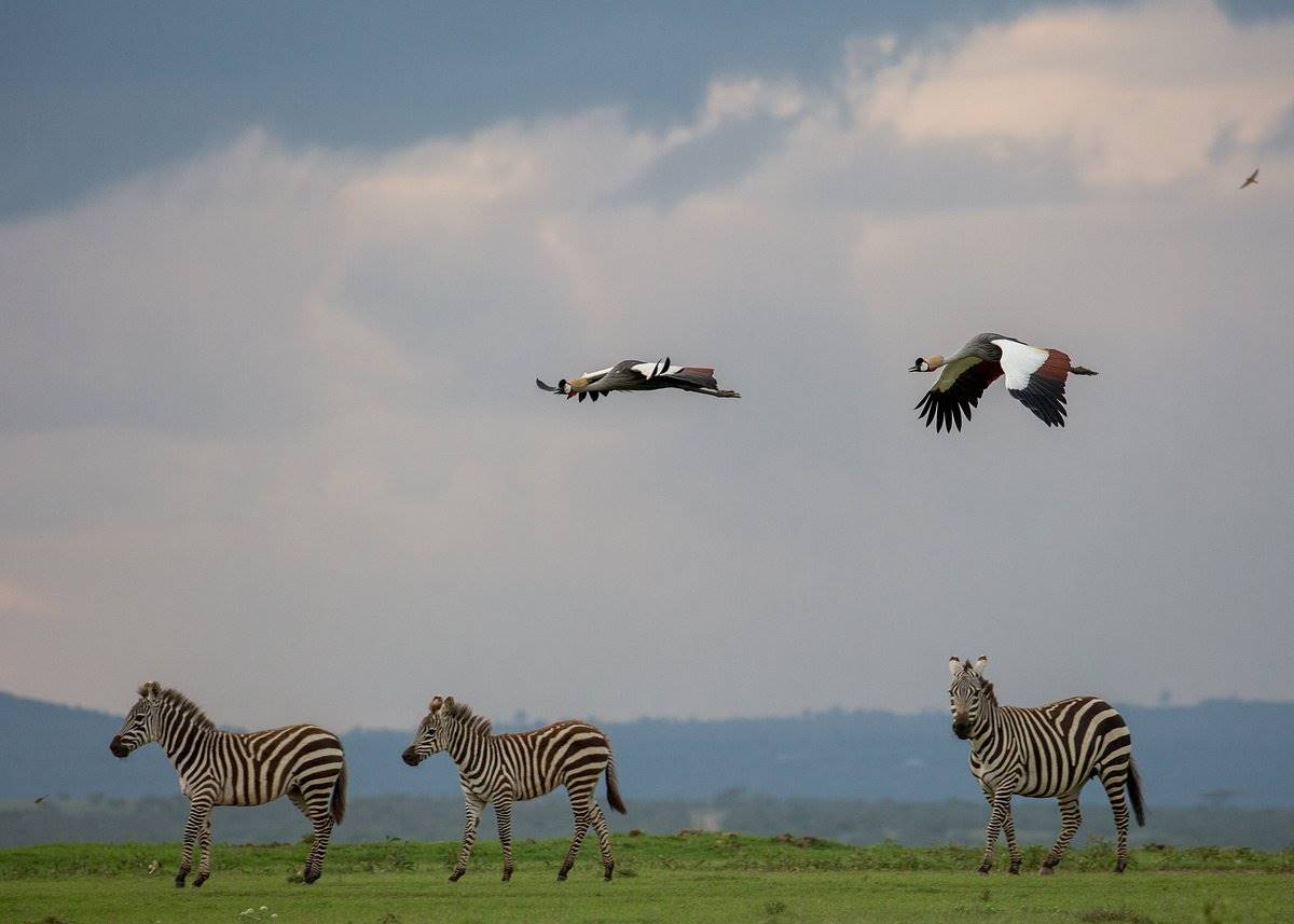 Solio Lodge en Laikipia 