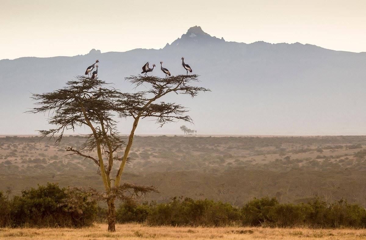 Solio Lodge en Laikipia 