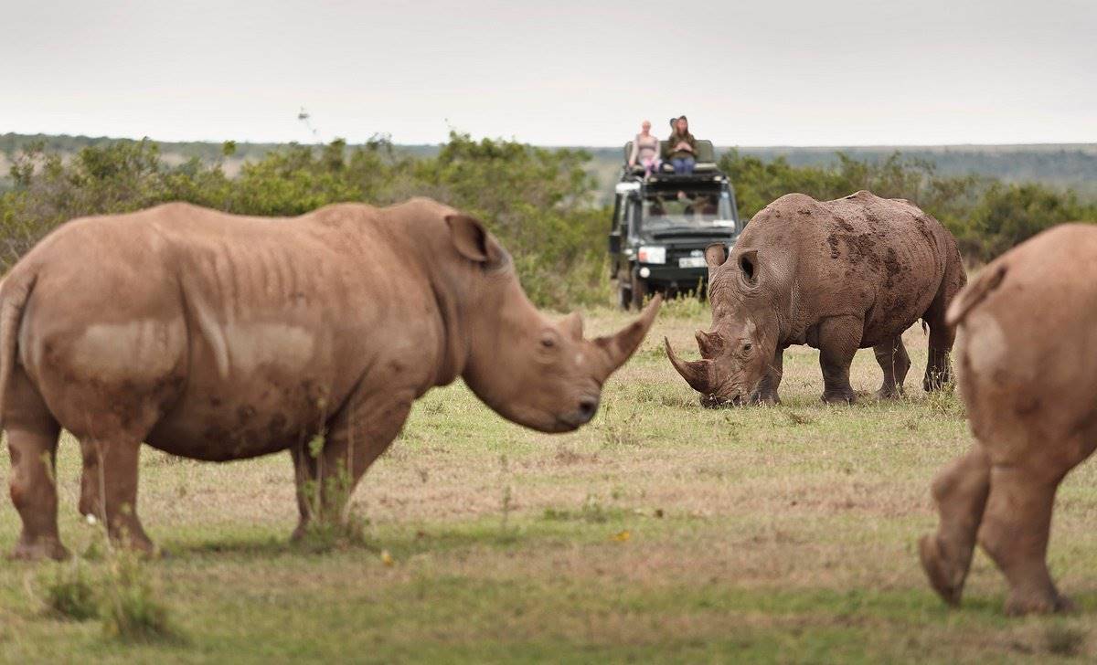 Solio Lodge en Laikipia 