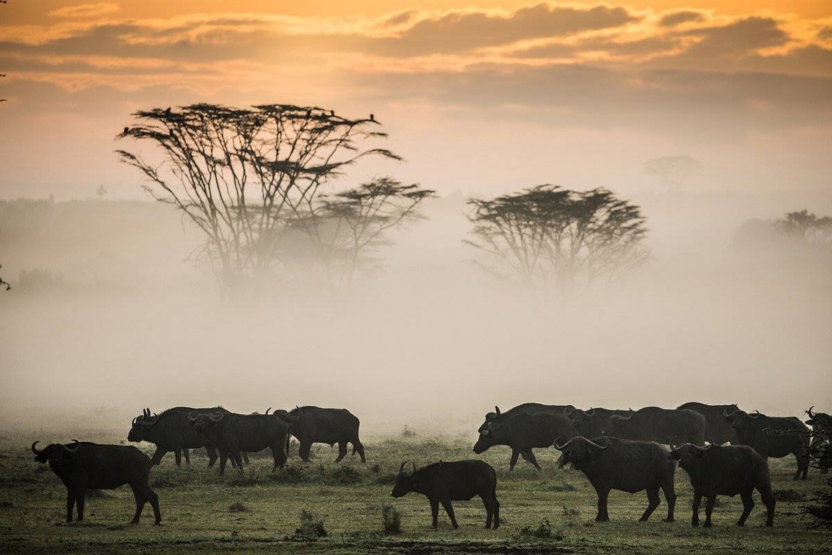 Solio Lodge en Laikipia 