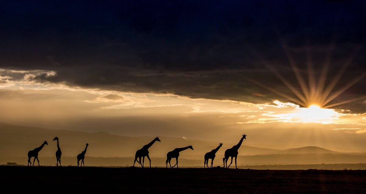 Solio Lodge en Laikipia 