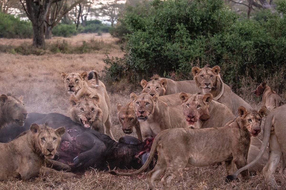 Solio Lodge en Laikipia 