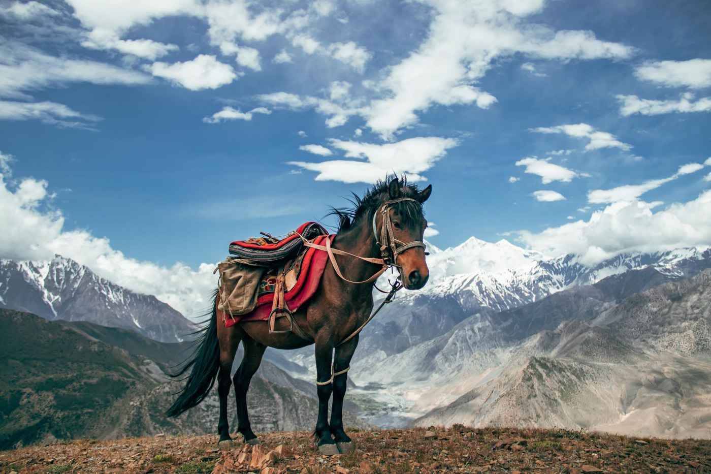 Shinta Mani Mustang - A Bensley Collection en Jomsom