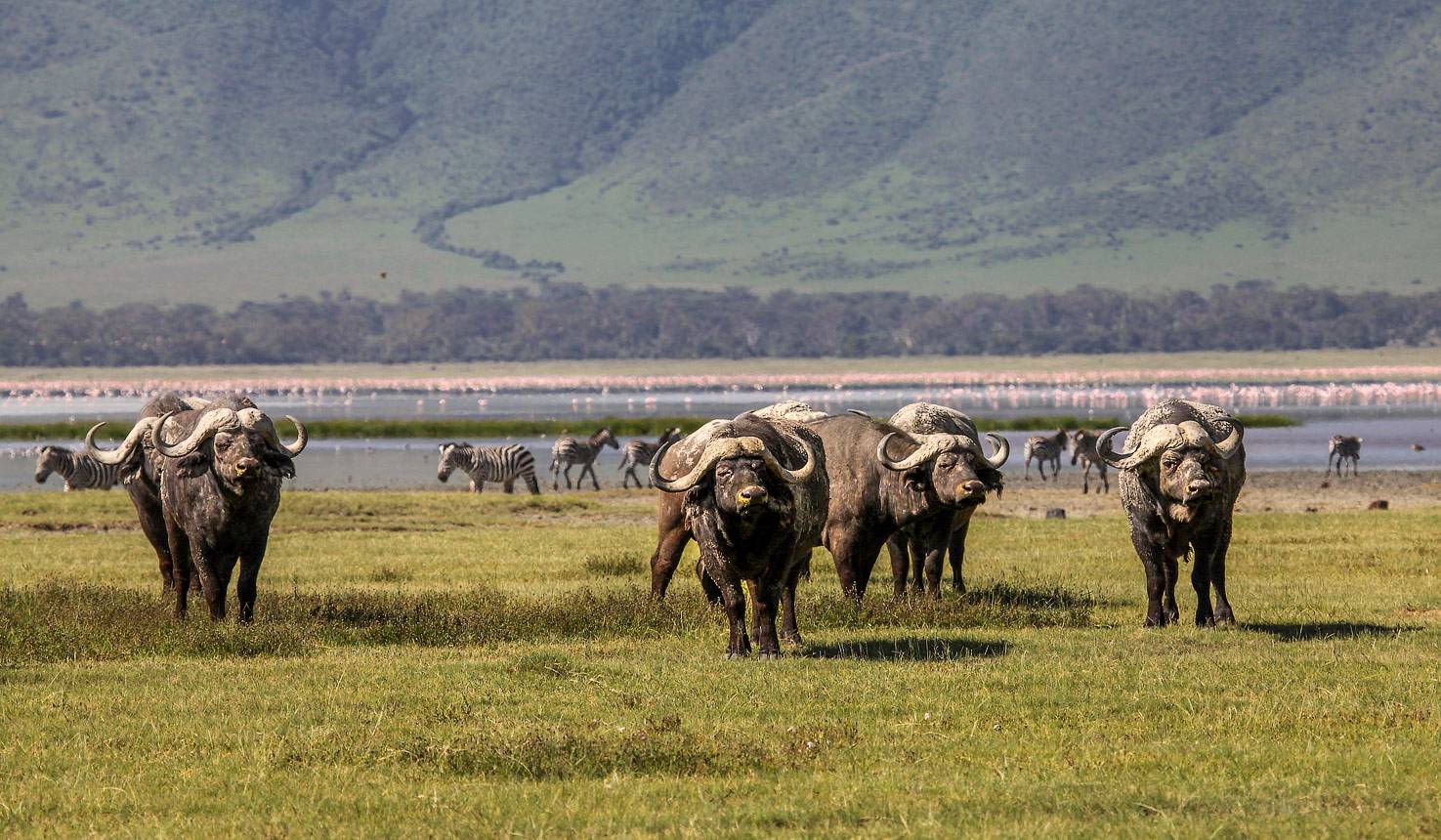 Lemala Osonjoi Lodge 