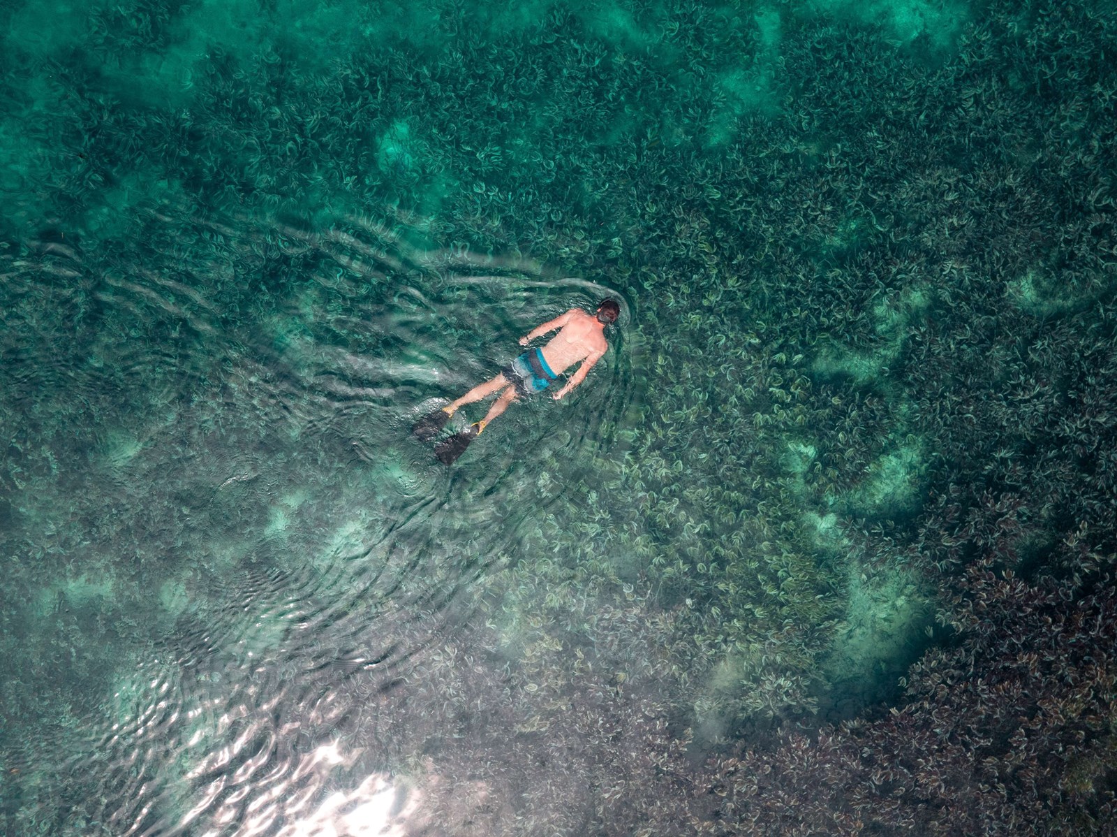 Waldorf Astoria Seychelles 