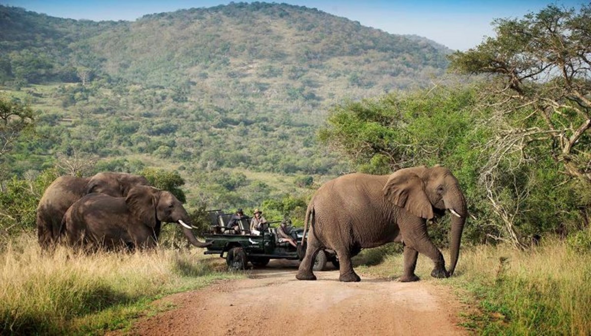 andBeyond Tengile River Lodge