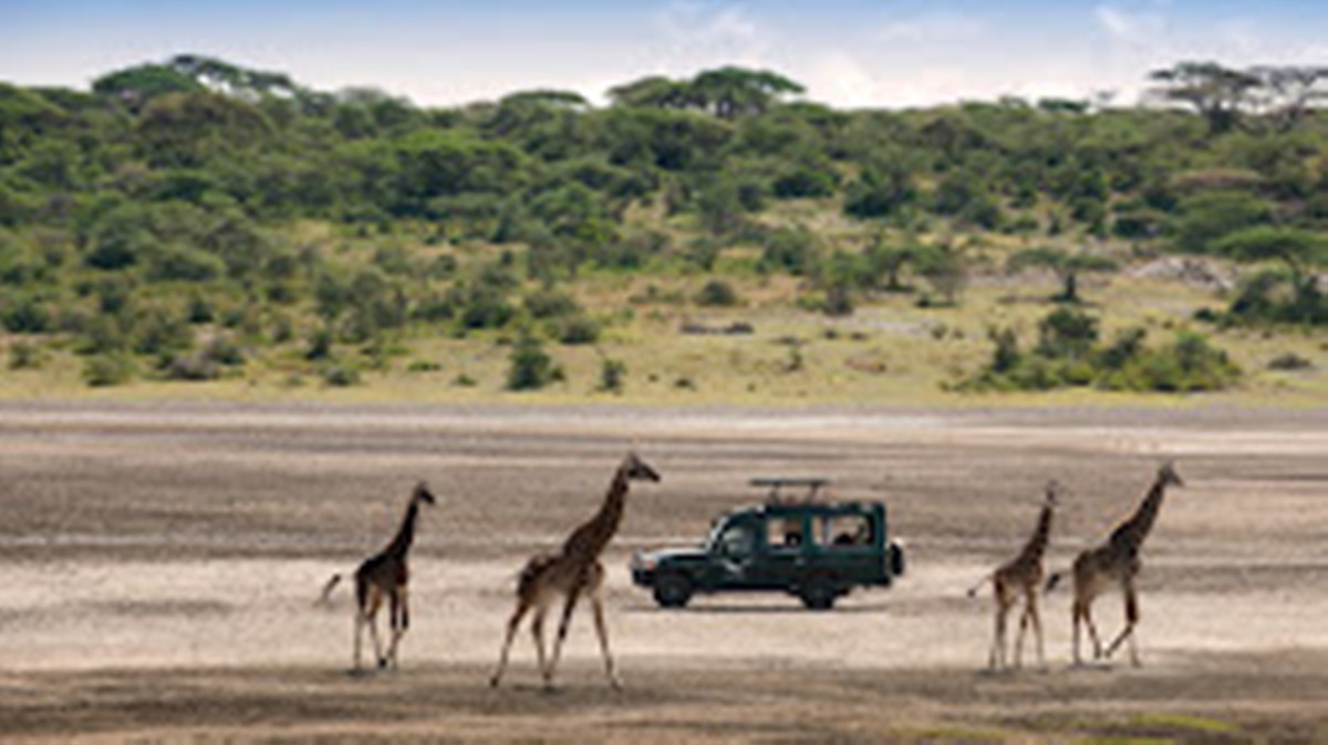 AndBeyond Serengeti Under Canvas