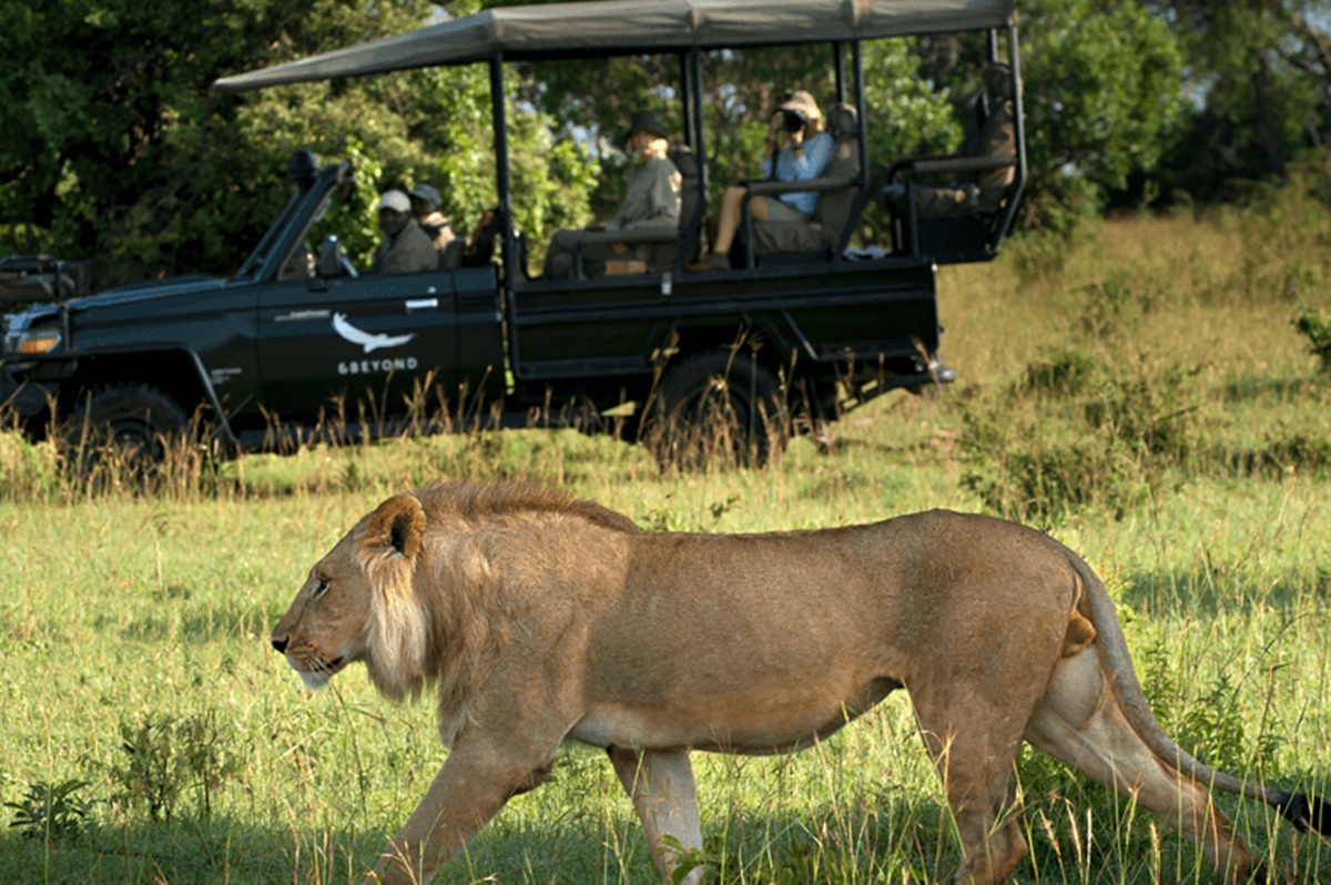 andBeyond Klein's Camp