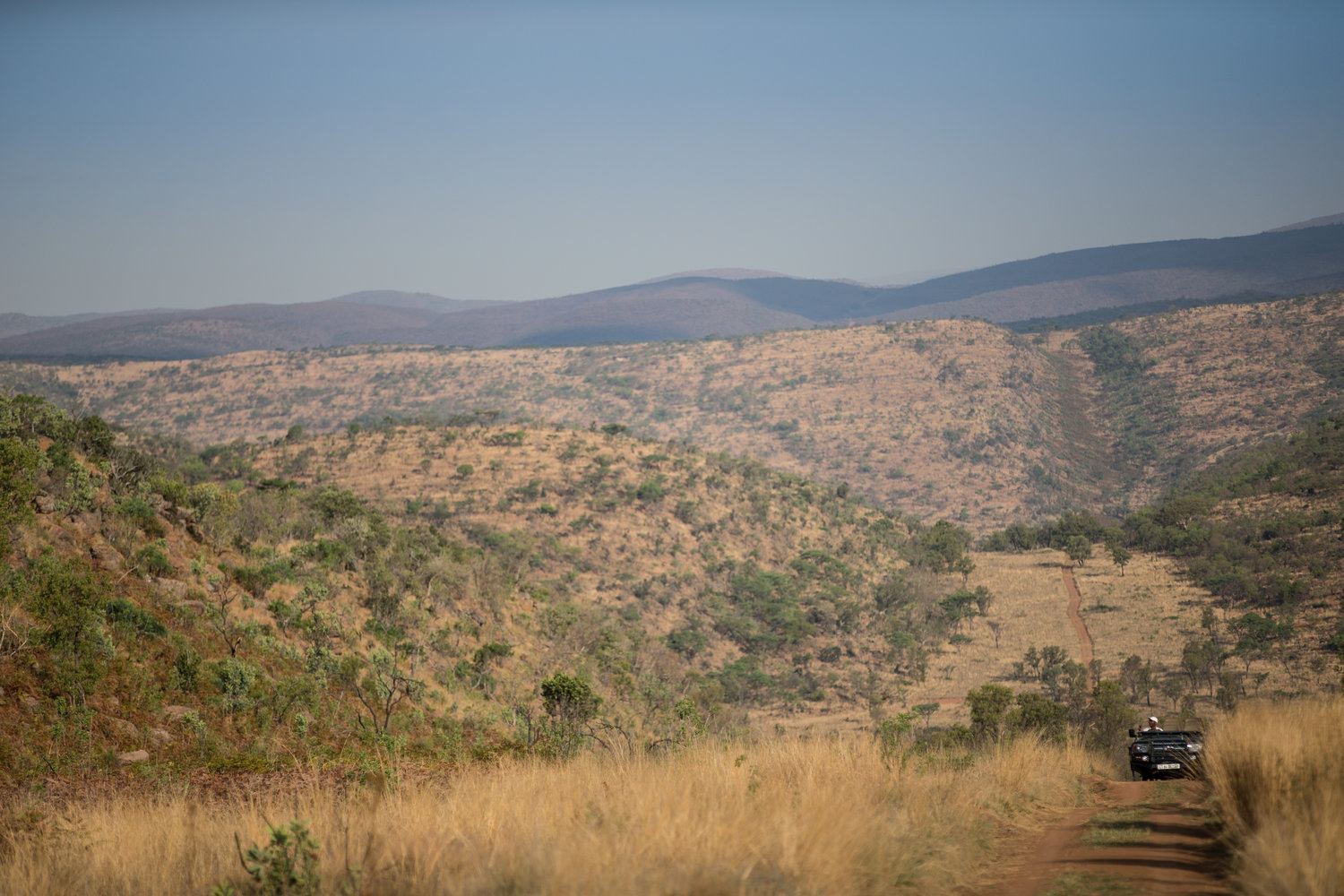 Tshwene Lodge en South Africa