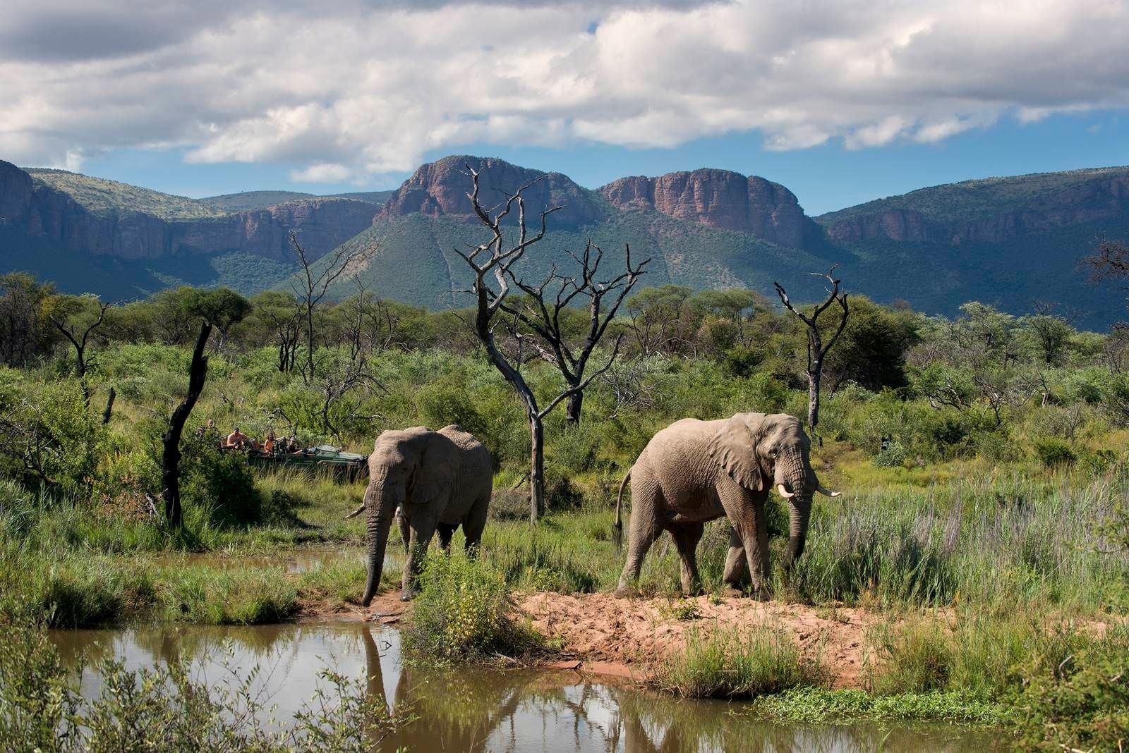 Tshwene Lodge en South Africa