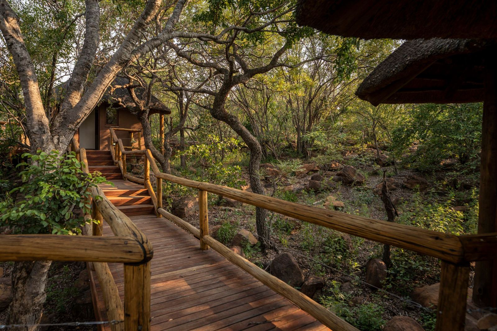Tshwene Lodge en South Africa