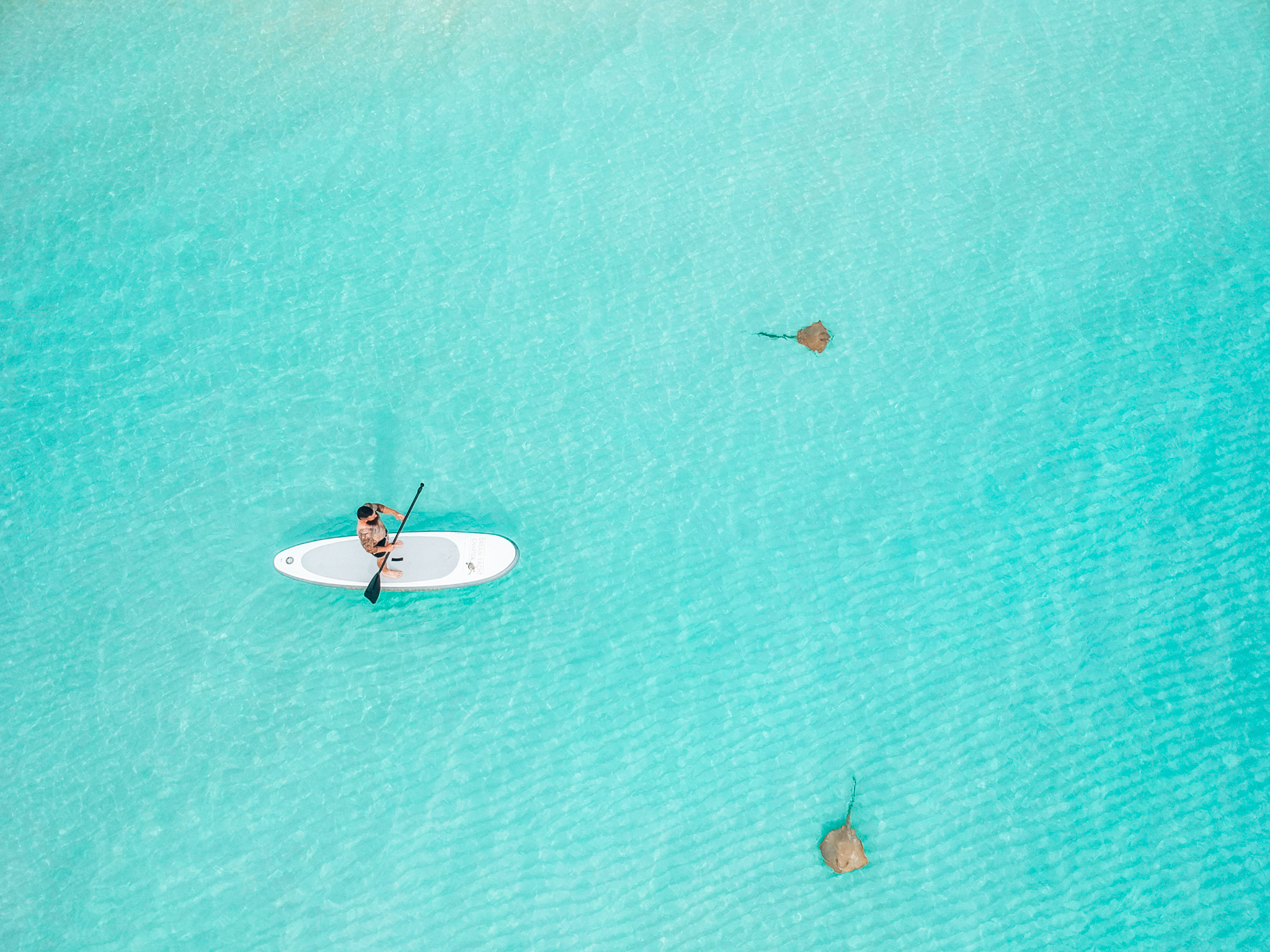 Catamaran Privado Whitesunday