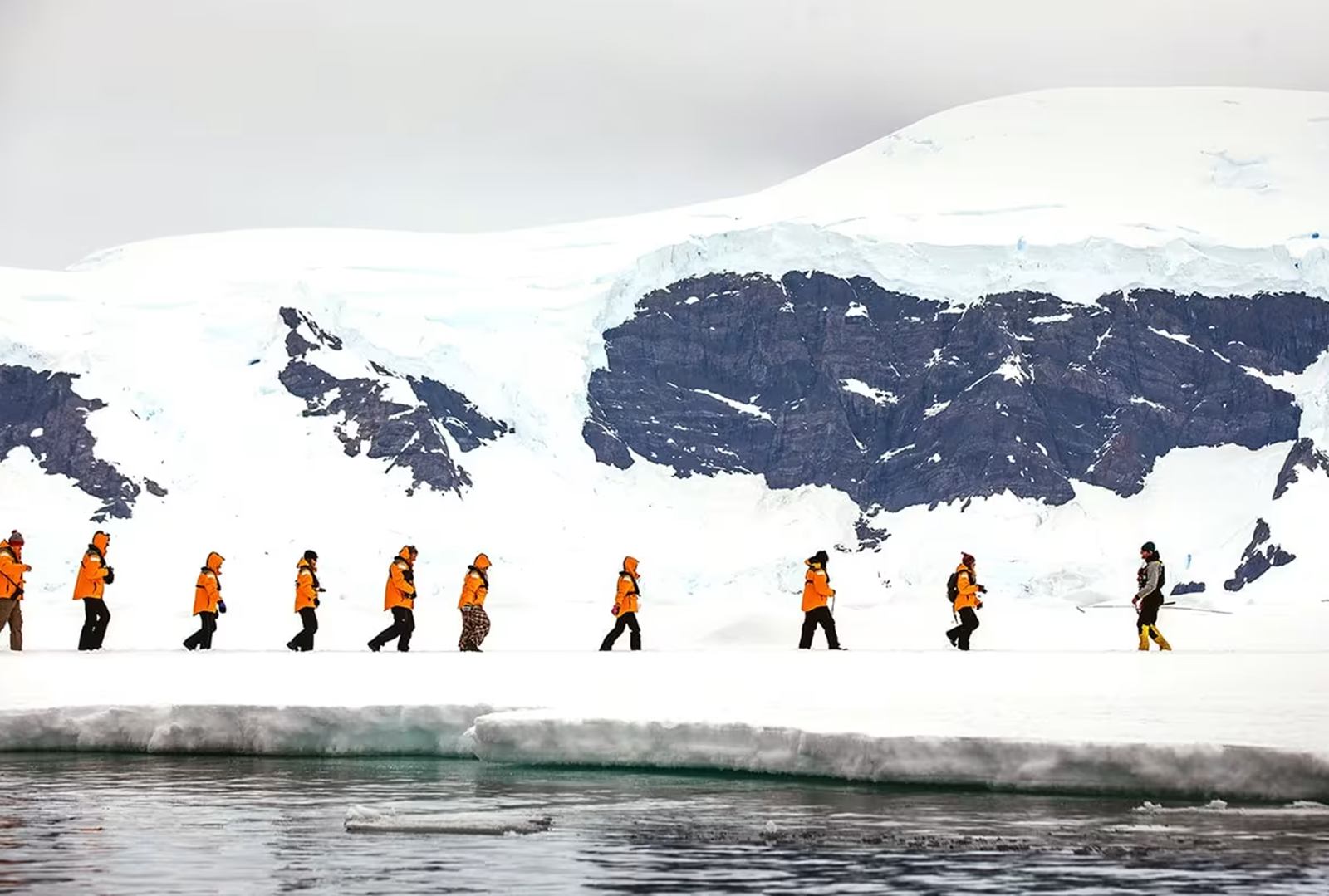 Quark Expeditions en Antártida