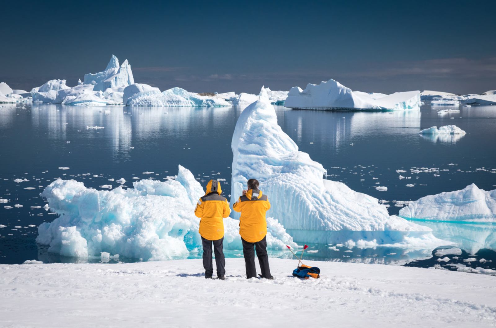 Quark Expeditions en Antártida