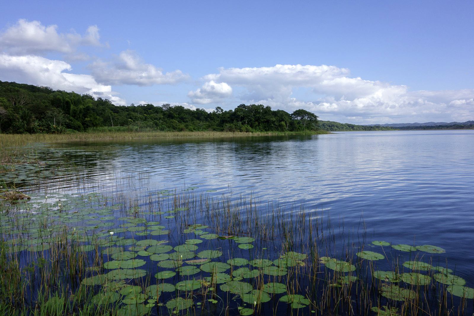 lago peten itz | LAT.40
