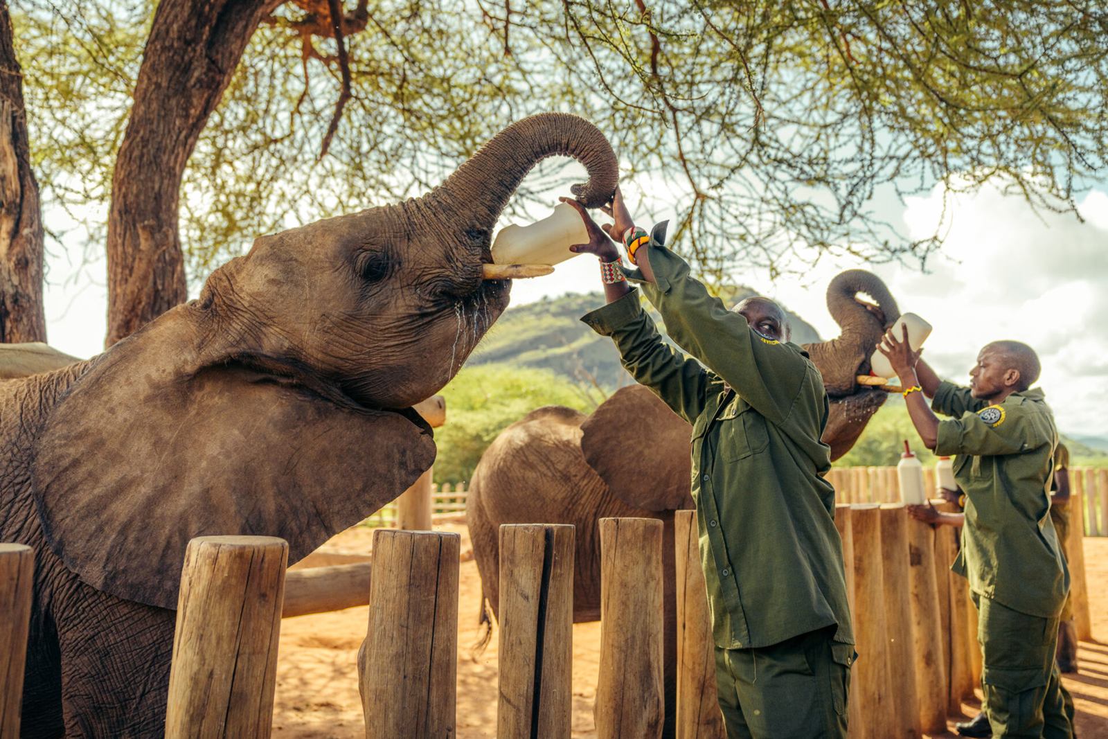 Reteti House en Namunyak Wildlife Conservancy